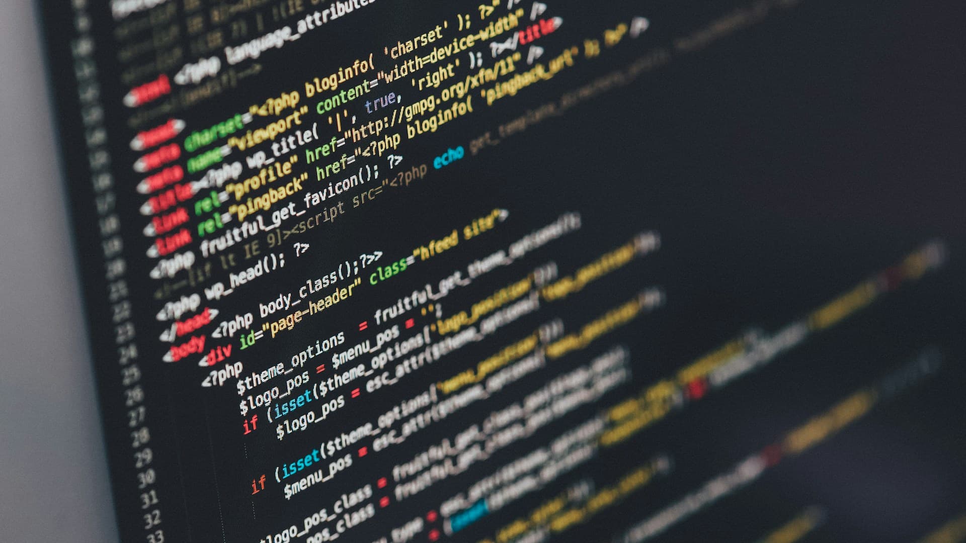 Software Development Services